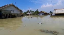 3 Daerah Rawan Banjir di Karawang, Ternyata Penyebab Utamanya Adalah Hal Ini!<