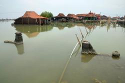 Potret Desa Timbulsloko Tenggelam Tergerus Abrasi dan Banjir Rob