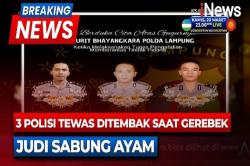 Potret 3 Polisi Gugur di Way Kanan saat Gerebek Judi Sabung Ayam, Luka Tembak di Kepala