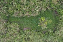 Terungkap! Ada 59 Titik Ladang Ganja yang Ditemukan di Gunung Semeru Pakai Drone<