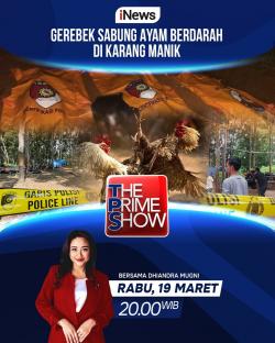 The Prime Show 'Gerebek Sabung Ayam Berdarah di Karang manik' Malam Ini Pukul 20.00 WIB, Hanya di vozpublica