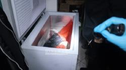 Sadis, Pria di Tangerang Mutilasi Sepupu Jadi 8 Bagian Gunakan Gergaji Besi Disimpan di Freezer<