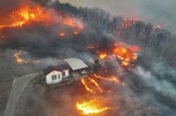 Mengganas, Kebakaran Hutan di Korsel Tewaskan 16 Orang Hancurkan Banyak Rumah
