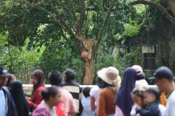 95.000 Lebih Pengunjung Padati Taman Margasatwa Ragunan Hari Ini