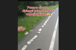 Viral ODGJ Susun Popok Bayi di Jalan Way Kanan Lampung, Begini Faktanya