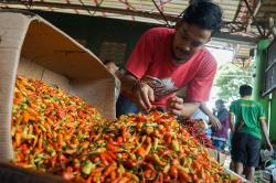 Harga Bawang Merah dan Cabai Rawit Turun Jadi Segini