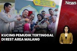 Viral Momen Polisi Temukan dan Rawat Kucing Pemudik Tertinggal di Rest Area Pemalang