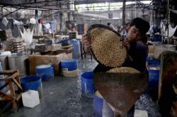 Produsen Tahu Tempe Keluhkan Harga Kedelai Impor Merangkak Naik