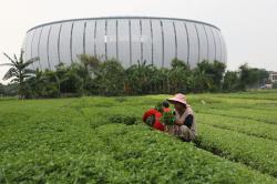 Kreatif! Lahan Terlantar Disulap Jadi Pertanian Produktif
