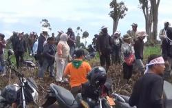 Viral Petani Pengalengan Protes Alih Fungsi Kebun Teh jadi Sayuran