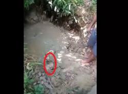 Viral Video Anak di Nias Tega Ceburkan Ibu Kandung dalam Lumpur Seharian<