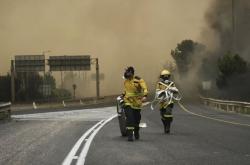 Kebakaran Hutan Israel: Netanyahu Berlakukan Status Darurat Nasional, Minta Bantuan Asing