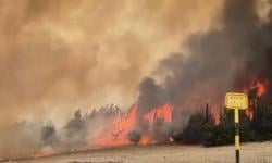 2 Negara Tolak Padamkan Kebakaran Hutan di Israel, Kenapa?