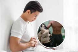 Viral Atlet Binaraga Malang Makan Ayam Tiren untuk Asupan Protein, Dokter: Sangat Berbahaya! 