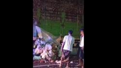 Kecelakaan Tragis di Pasuruan, Pedagang Sayur Keliling Tewas Tabrak Truk<