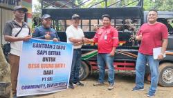 Kelompok Tani Mutiara Trans Dapat Bantuan Sapi dari PT Sumatera Riang Lestari<