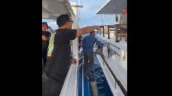 Viral Bupati Mentawai Ngamuk ke Kapten Kapal Bawa Turis Asing: Habis Batas Kesabaran Saya<