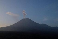 Gunung Semeru Erupsi Keluarkan Abu Vulkanis Setinggi 1 Km, Status Level II Waspada<