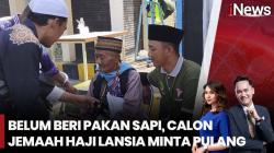 Jemaah Haji Ini Minta Pulang gegara Belum Kasih Makan Sapi