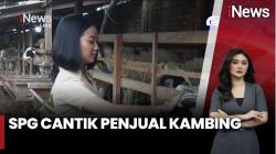 Kehadiran SPG Cantik Ramaikan Penjualan Daging Kurban<