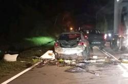 Kawanan Gajah Ngamuk Hancurkan Mobil di Malaysia, Balas Dendam?