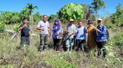 Legislator Perindo Dorong Swasembada Pangan di Kepulauan Mentawai Lewat Survei Lapangan<