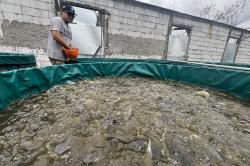 Dari Kamera ke Kolam: Fotografer Ini Sukses Beralih Jadi Peternak Ikan Lele