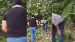Wanita Ditemukan Tewas di Kebun Karet Lampung Diduga Korban Begal<