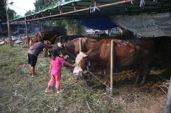 Jelang Iduladha, Pedagang di Jaksel Dilarang Jual Hewan Kurban di Trotoar