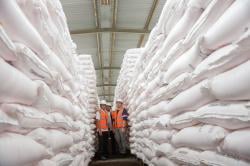 Stok Aman, Pupuk Indonesia sudah Salurkan 3 Juta Ton hingga Mei 2025