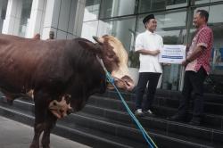 Penyaluran Ratusan Hewan Kurban ke Berbagai Daerah