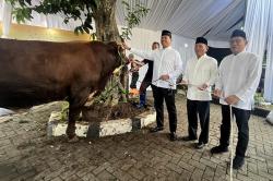 Iduladha 1446 H, BSI Distribusikan 15.272 Hewan Kurban untuk Dhuafa