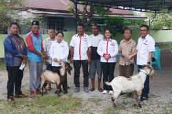 Semarakkan Idul Adha Fest 2025-1.000.000 Kantong Kebahagiaan, Partai Perindo NTT Tebar Kurban hingga ke Pelosok<