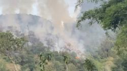 Kebakaran Hutan dan Lahan Meluas di Limapuluh Kota Sumbar, Petugas Berjibaku Padamkan Api