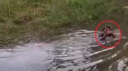 Panik Digerebek Polisi, Pelaku Judi Sabung Ayam di Gowa Nekat Berupaya Kabur Nyebur ke Danau<