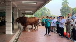 Masjid Istiqlal Sembelih Hewan Kurban Hari Ini, Sapi Kurban Prabowo yang Pertama