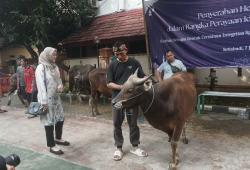 Penyerahan Bantuan Ratusan Hewan Kurban Iduladha 1446 H