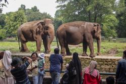 Taman Margasatwa Ragunan Tetap Buka untuk Pengunjung