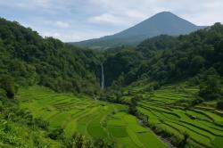 3 Jalur Alternatif ke Tawangmangu yang Gak Pernah Bikin Stres di Google Maps, Pas Buat Healing Sekeluarga<