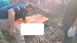 Terungkap! Temuan Pria Tewas di Kebun Sawit Labusel, Dibunuh Pencuri saat Tepergok Korban<