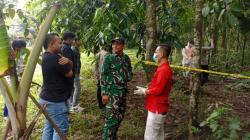 Lebak Heboh! Mayat Pria Ditemukan di Bawah Pohon Melinjo, Kondisi Mengenaskan