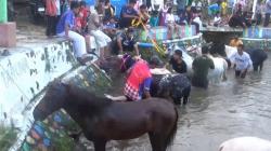 Tradisi Turun-temurun Mandikan Kuda di Sungai Kuningan, Daya Tarik Wisata Religi 1 Muharam