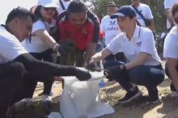 Angela Tanoesoedibjo dan Kader Partai Perindo Bersih-Bersih Sampah di Pantai Mertasari Bali <