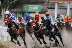 Sejarah dan Keajaiban Triple Crown, Mahkota Paling Sakral dalam Dunia Pacuan Kuda