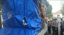Aksi Kejar-kejaran Polisi dan Pick Up Overload, Tabrak Lapak Pedagang hingga Mobil Patroli