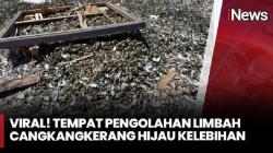 Tumpukan Limbah Cangkang Kerang Hijau di Cilincing Mengkhawatirkan