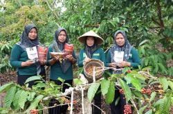 Bangun Koperasi Modern, LPDB Optimalkan Program Inkubator