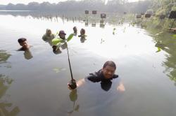 Penanaman Ratusan Pohon Mangrove