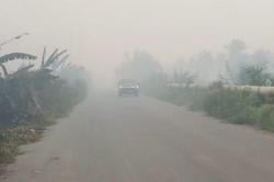 Kabut Asap Pekat akibat Karhutla, Warga Rokan Hilir Mulai Mengungsi!<
