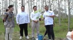 Tanam Pohon Paulownia di Sarawak Malaysia, Andi Yuslim Patawari Ajak Lestarikan Lingkungan
